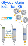 ABA (Agaricus bisporus) Mushroom lectin Separopore derivatives lectin ligands (4B-CL)